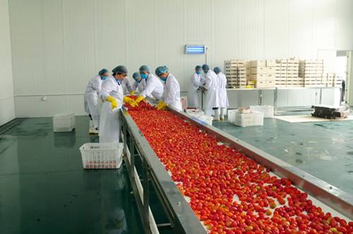 食品加工廠裝修